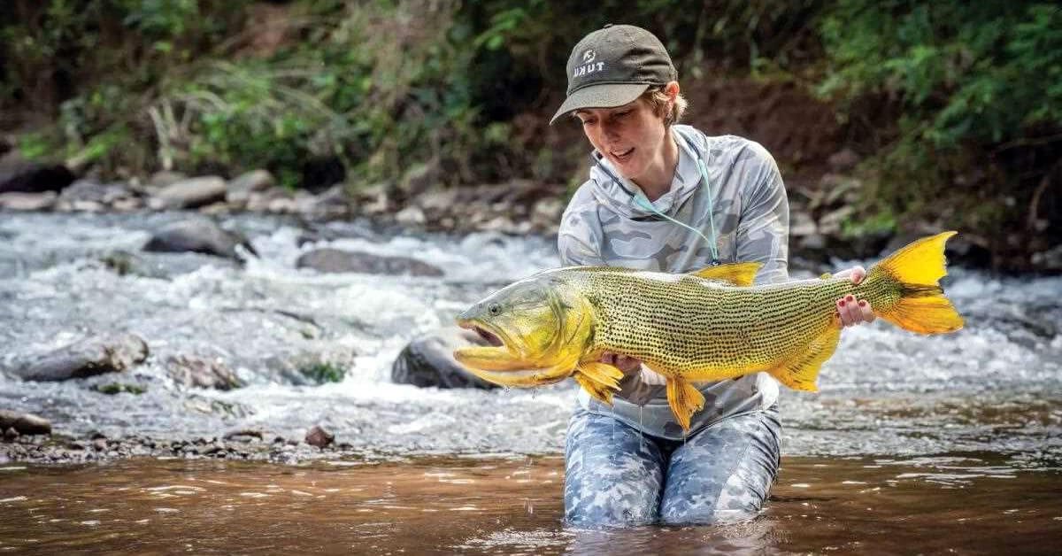 7 Curiosidades Fascinantes sobre o Dourado que Você Precisa Conhecer