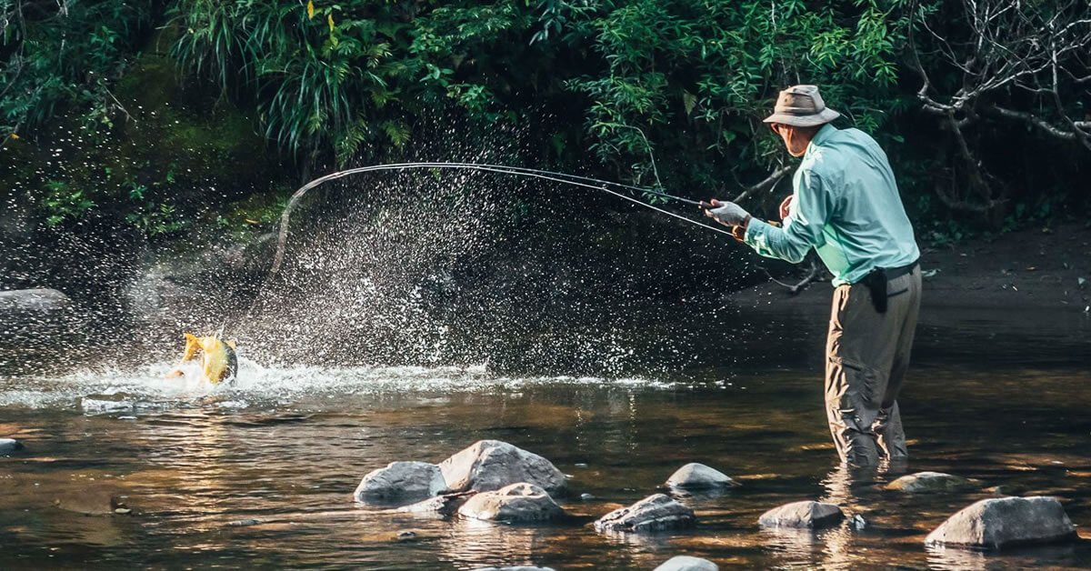 Os Melhores Anzóis para Pescar Dourado: Guia Completo