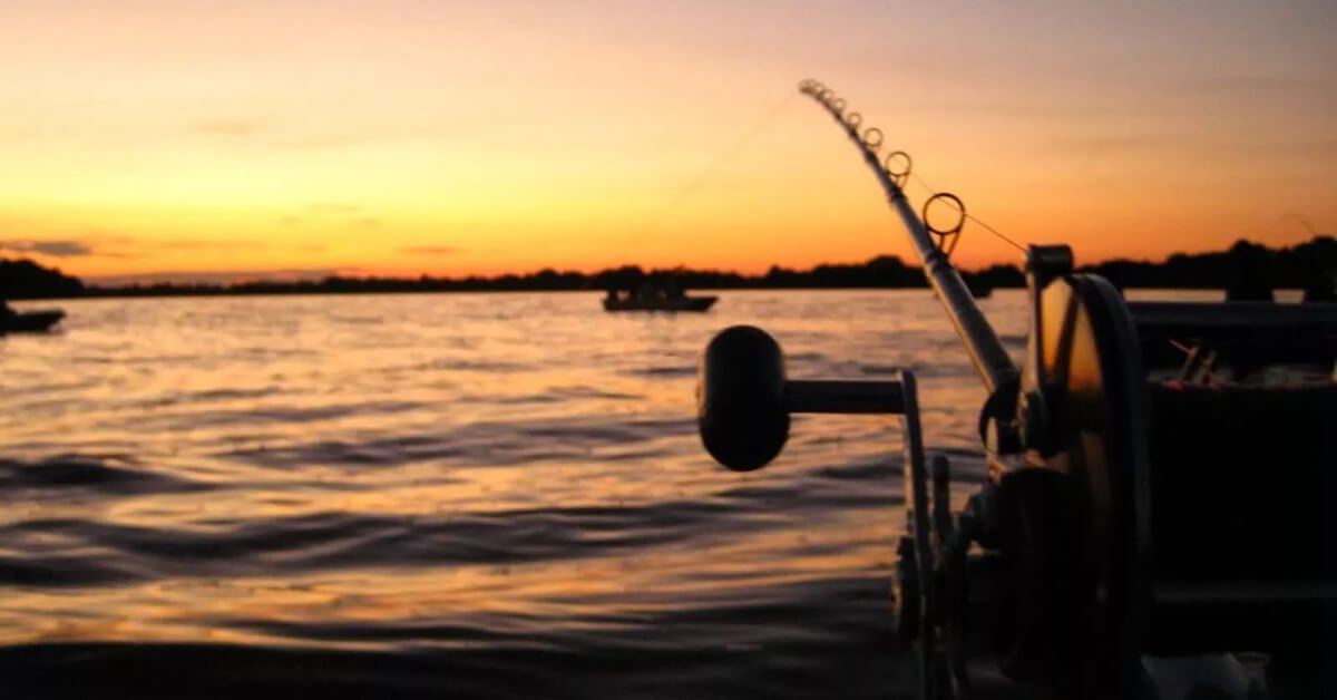 Pesca de Dourado no Pantanal: Guia Completo para Pescadores