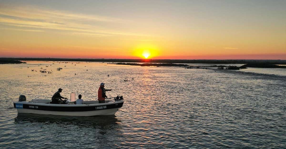 Pesca de Dourado em Paso de la Patria - Argentina